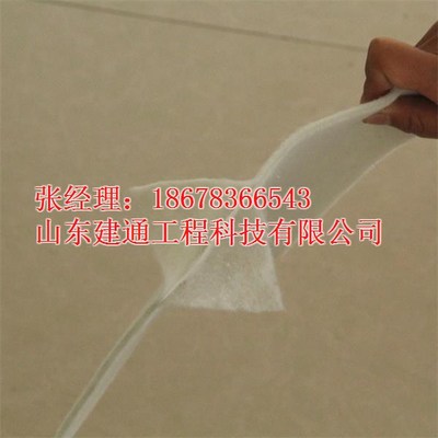 山東建通兩布一膜復合土工膜 汕頭地區價格、廠家與產品解析