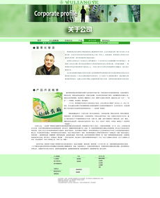 網頁設計模板 高效構建專業網站的關鍵